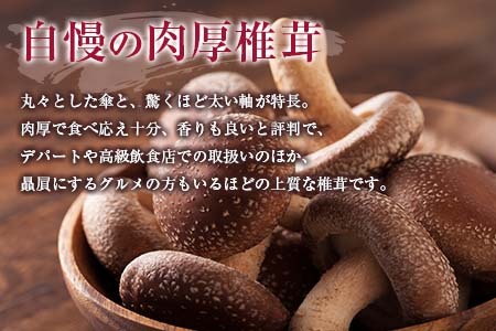 吉木椎茸農園　肉厚生椎茸と季節のきのこセット YO087_001