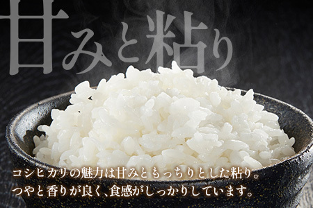 栄ファーム 大朝の米こしひかり 精米10kg 2025年産米 米どころ北広島町のおいしいお米 10月中旬以降発送_SA091_003