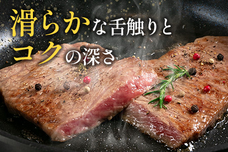 広島牛サーロインステーキ1枚【250g以上】（A4ランク以上） MO013_002
