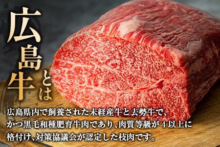 広島牛サーロインステーキ2枚【合計500g以上】（A4ランク以上） MO013_003