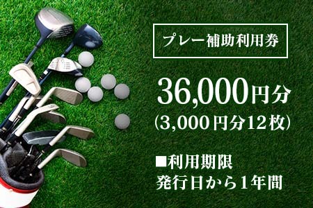 千代田ゴルフ倶楽部　ゴルフ場優待プレー補助利用券 36,000円分 CH078_005