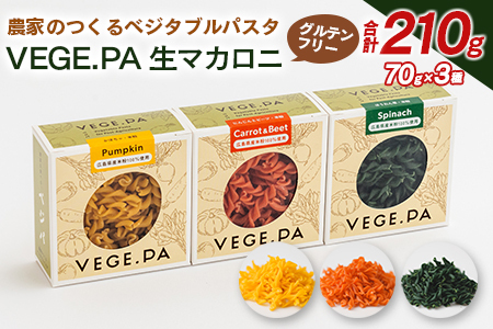 農家のつくるベジタブルパスタ VEGE.PA 生マカロニ3種セット NA093_001