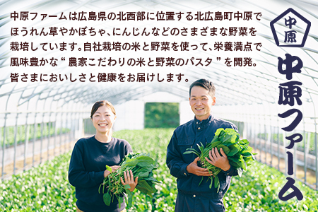 農家のつくるベジタブルパスタ VEGE.PA 生マカロニ3種セット NA093_001