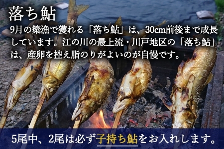 《季節限定》アユ 天然 冷凍 5匹 落ち鮎 子持ち 広島 江の川 簗漁鮎_KA088_001