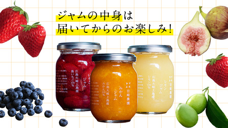 岩﨑農園 無添加 手作り ジャム 200g 2本