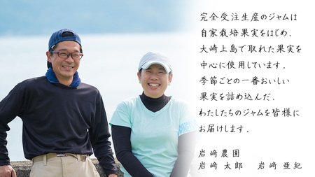 岩﨑農園 無添加 手作り ジャム 200g 2本