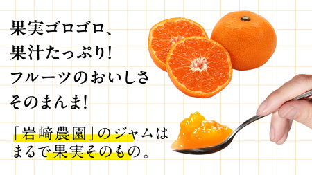 岩﨑農園 無添加 手作り ジャム 200g 3本