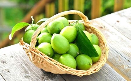 瀬戸内の ハウスグリーン レモン 約3kg【2026年8月以降発送】