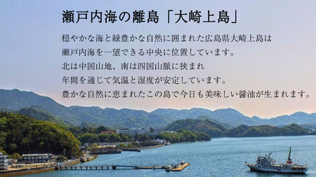 岡本醤油醸造場 純国産 濃口醤油 ( 本仕込み熟成二年醤油)1L × 2本