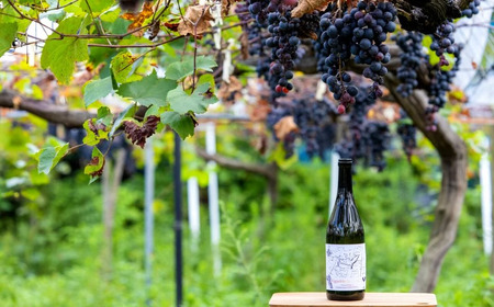 【温泉総選挙2025 絶景部門 全国1位】島のワインを島のホテルで。清風館の「凪ぎ会席」宿泊券(1名様) / 夕食時に島のワインを味わえるプラン