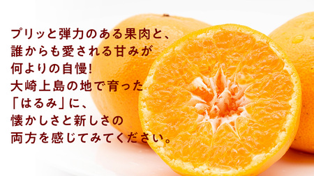 はるみ 約5kg 1~2月発送予定