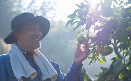 青島温州みかん 約5kg 1月下旬頃発送予定