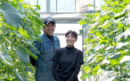 きゅうり 約3kg 【2026年9月以降発送】