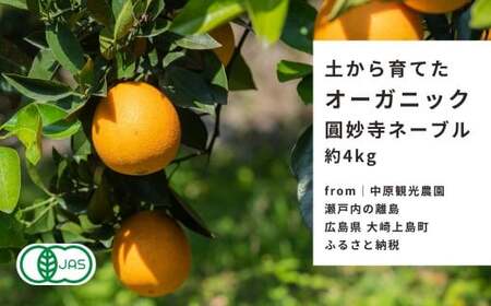 [1〜2月発送] オーガニック圓妙寺ネーブル 約4kg 国産 有機JAS認証 瀬戸内 広島 大崎上島 離島 有機栽培 柑橘 果物 オーガニック フルーツ ギフト 防腐剤不使用 ワックス不使用 無添加 安全 安心 送料無料 産地直送 中原観光農園