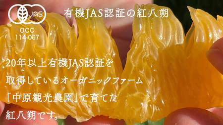瀬戸内 オーガニック 紅八朔 3kg