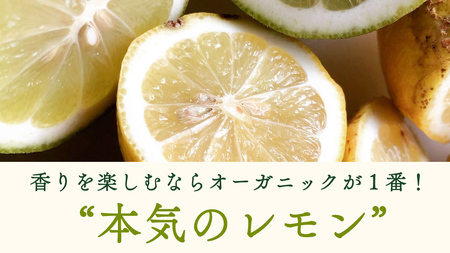 瀬戸内 オーガニック レモン 1kg (8〜12個程度) 先行予約 【 2026年12月～1月発送 】