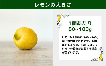 [12～1月発送] 瀬戸内オーガニックレモン 約3kg(24〜30個程度) 有機JAS認証 国産 せとうち 広島 大崎上島 離島 有機栽培 柑橘 果物 オーガニック フルーツ ギフト 防腐剤不使用 ワックス不使用 無添加 安全 安心 送料無料 産地直送 中原観光農園  