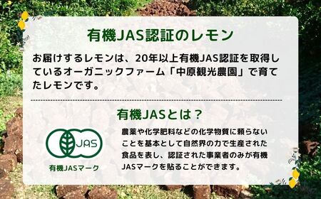 [12～1月発送] 瀬戸内オーガニックレモン 約3kg(24〜30個程度) 有機JAS認証 国産 せとうち 広島 大崎上島 離島 有機栽培 柑橘 果物 オーガニック フルーツ ギフト 防腐剤不使用 ワックス不使用 無添加 安全 安心 送料無料 産地直送 中原観光農園  