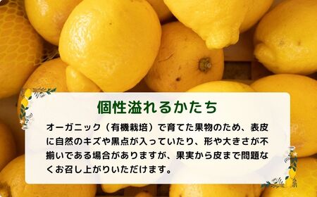 [12～1月発送] 瀬戸内オーガニックレモン 約3kg(24〜30個程度) 有機JAS認証 国産 せとうち 広島 大崎上島 離島 有機栽培 柑橘 果物 オーガニック フルーツ ギフト 防腐剤不使用 ワックス不使用 無添加 安全 安心 送料無料 産地直送 中原観光農園  