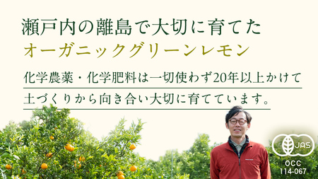 瀬戸内 オーガニック グリーンレモン 3kg【2026年10月以降発送】