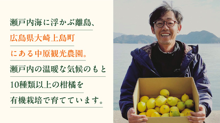 瀬戸内 オーガニック グリーンレモン 3kg【2026年10月以降発送】