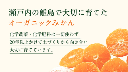 オーガニック 瀬戸内みかん 3kg (30~40個程度) 10月～1月発送