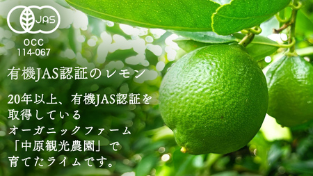 オーガニック ライム 1kg【2026年9月以降発送】