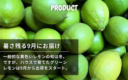ハウス グリーンレモン 約3kg 【2026年9月以降発送】