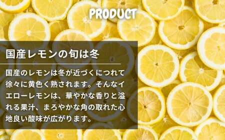 芳醇! 文田農園のレモン 約3kg 2~3月発送