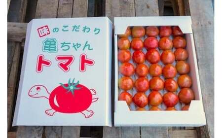【2026年1月中旬発送開始】 亀ちゃんトマト レギュラー 約3kg 瀬戸内 広島 濃厚 トマト 産地直送 亀田農園