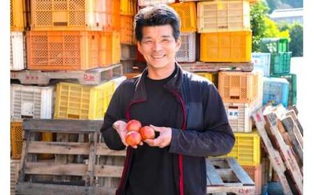 【2026年1月中旬発送開始】 亀ちゃんトマト レギュラー 約3kg 瀬戸内 広島 濃厚 トマト 産地直送 亀田農園