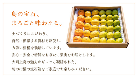 島の宝石箱！瀬戸内 旬の柑橘カラフルギフトセット ( レモン 約2kg /みかん 約1kg ) 11月〜12月発送