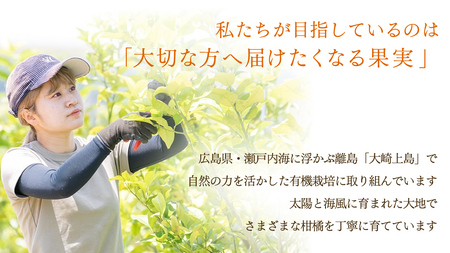 瀬戸内レモン オーガニック 5kg [12月〜6月出荷]