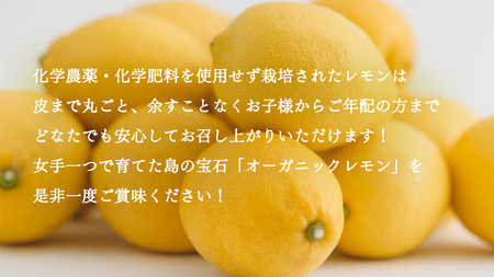 オーガニック 瀬戸内レモン 10kg [12月〜6月出荷]
