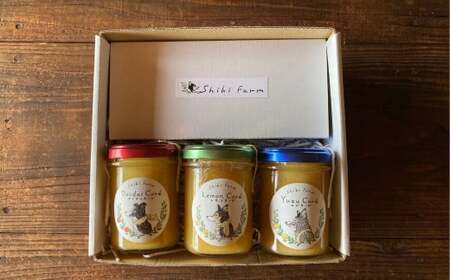 大崎上島の旬の果物を使ったフルーツカード3種+レモンのセット