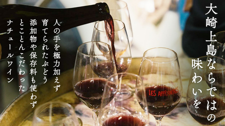 瀬戸内 の ナチュールワイン 750mL 【Vignoble de NAKA 2023 rouge MBA】