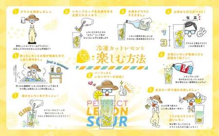 冷凍 カットレモン 8袋入 (約3～4個分)