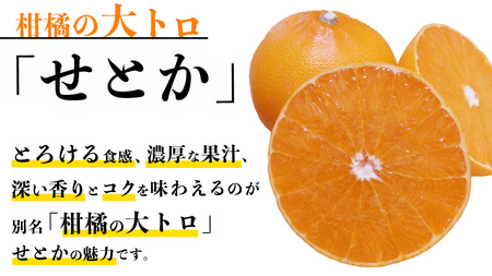 [2月発送] せとか 5kg (20個程度)