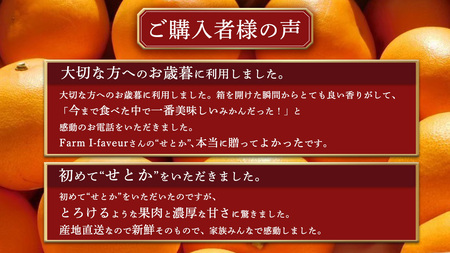 [2月発送] せとか 5kg (20個程度)