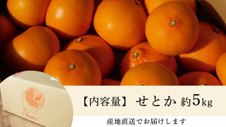 [2月発送] せとか 5kg (20個程度)