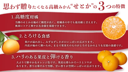 [2月発送] せとか 10kg (35個程度)