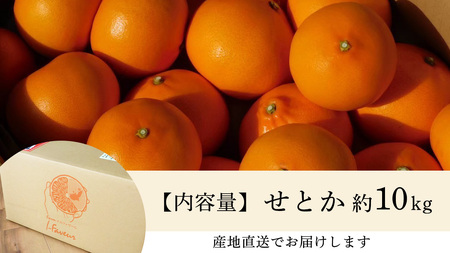 [2月発送] せとか 10kg (35個程度)