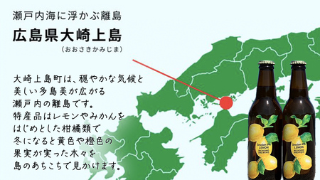 【12/21入金確認分まで年内お届け】クラフトビール Session IPA Lemon 3本 セット