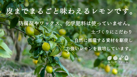 オーガニック 瀬戸内レモン 1kg [12月〜6月出荷]
