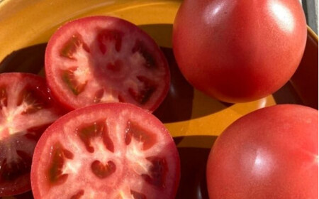 大崎上島産 西田農園の冬春 トマト 約2kg(10〜15個程度)