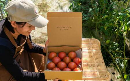 大崎上島産 西田農園の冬春 トマト 約2kg(10〜15個程度)