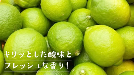  【2026年10月発送開始】 大崎上島産 有機グリーンレモン 1kg （目安8?12個程度）