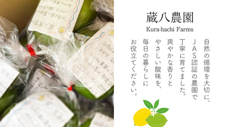  【2026年10月発送開始】 大崎上島産 有機グリーンレモン 1kg （目安8?12個程度）