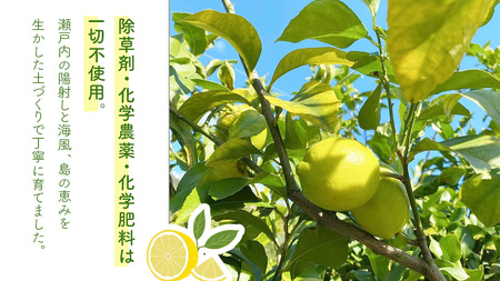 【2026年10月発送開始】 大崎上島産 有機グリーンレモン 3kg (目安25?30個程度)