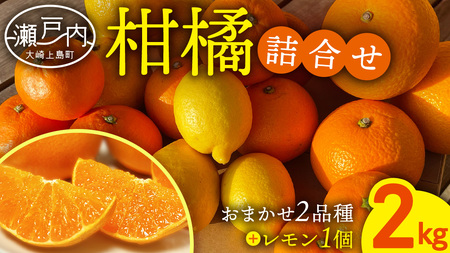 お試し 旬の柑橘 約2kg の 詰め合わせ ( おまかせ2品種 と レモン ) [OK38_001]